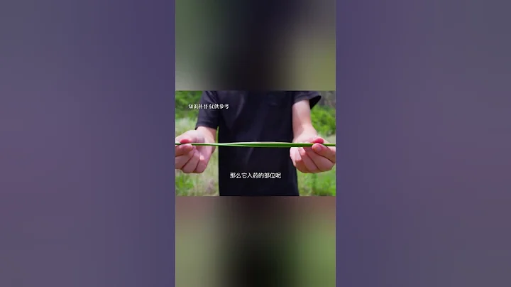 【灯心草】确实可以做灯芯 - 天天要闻