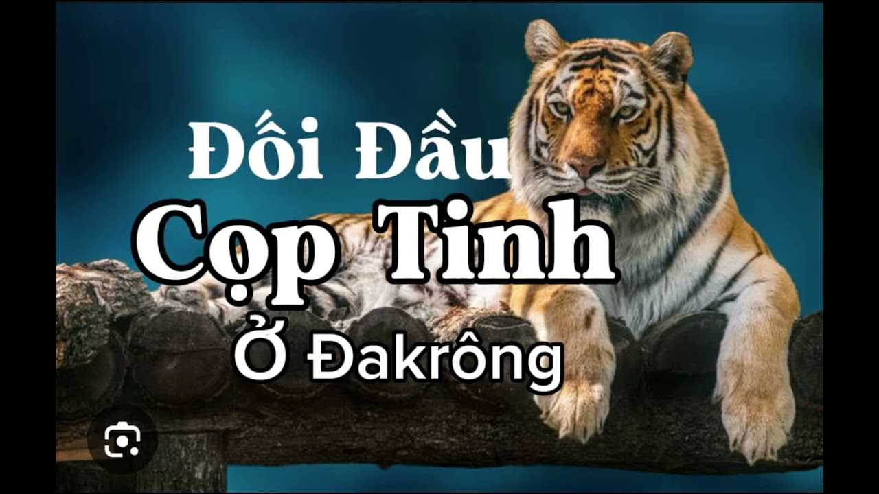 ĐỐI ĐẦU CỌP TINH Ở ĐAKRÔNG - Lê Anh diễn đọc