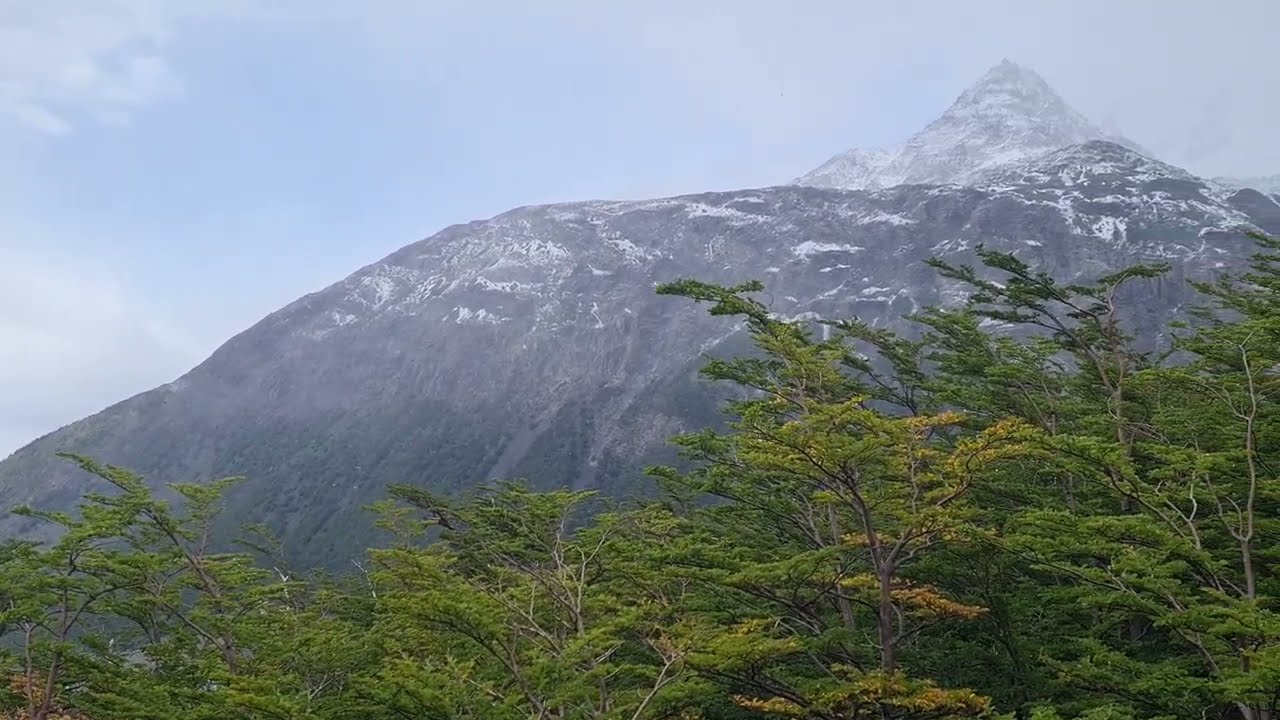 Torres del paine 20240109 100405