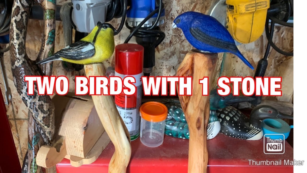 Another Bird on a walking stick ? 