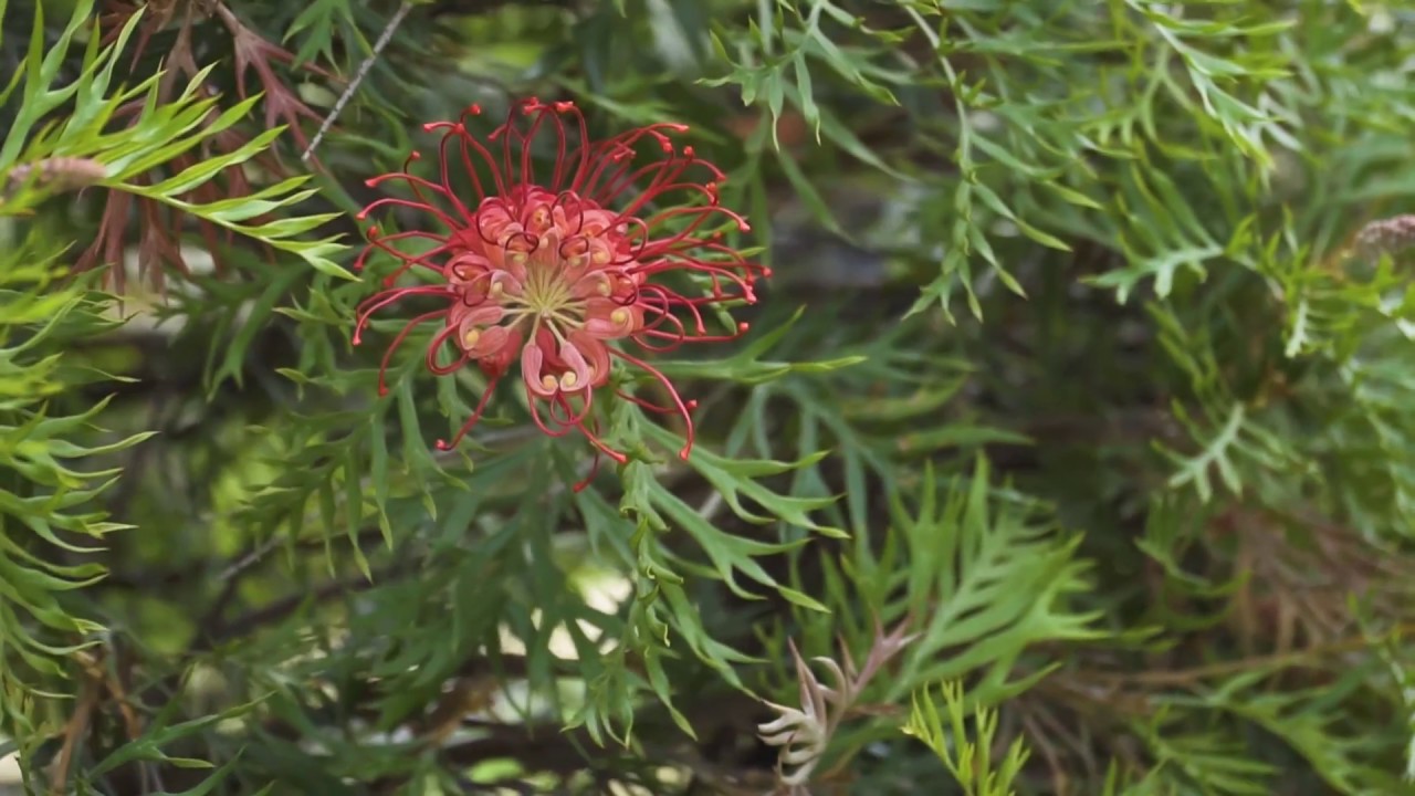 5/75 Minto Road, Minto