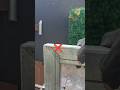 Simple trick #diy #stickwelding