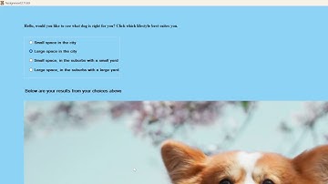 MS539 Assignment 2 1 GUI Video Demo