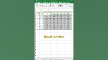 一秒切换货币格式，实用的小技巧。 #excel #办公软件 #办公技巧 #职场 #创作灵感