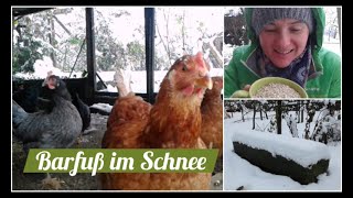 Barfuß Im Schnee Hühner Und Der Erste Schnee Barefoot In The Snow Our Chickens And First Snow
