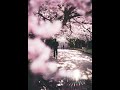 スガシカオ 桜並木