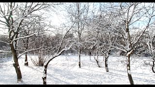 Snow...