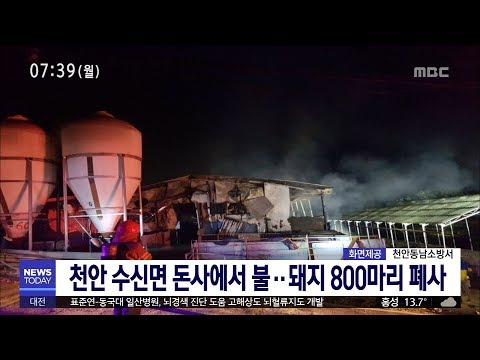 [대전MBC뉴스]사건사고