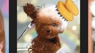 CLEANING HOMELESS DOG / ASMR ANIMATION / ASMR GAME / FUN GAMES ✨🎧 screenshot 1