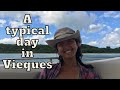 LIVING IN VIEQUES 2020 | My Typical Day