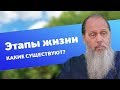 Какие существуют этапы жизни человека? (прот. Владимир Головин)