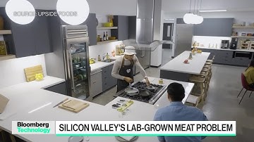 Can lab-grown meat ever go mainstream?