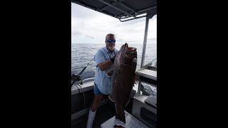 Deep Drop Obsession - Fishing OverBoard