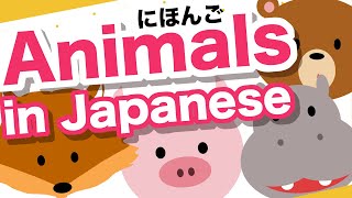 Animals in Japanese 🇯🇵 Dog, Cat, Deer, Rabbit, Pig, Hippopotamus etc