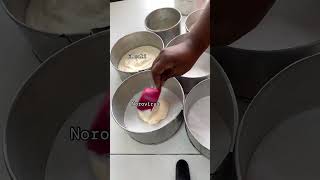 Taste Testing Raw Cake Batter Dangerous Diseases