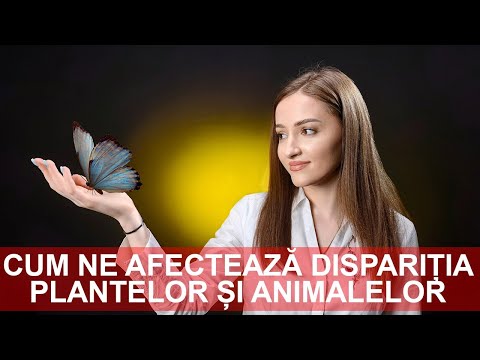 Video: Cum depind plantele de animale?