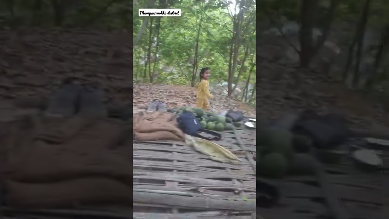 merapani wokha district