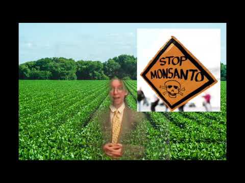 Video: Hur kontrollerar Monsanto sojabönor?