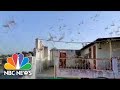 Massive Locusts Swarms That Have Destroyed Crops In Eastern Africa And The Middle East Have Entered India