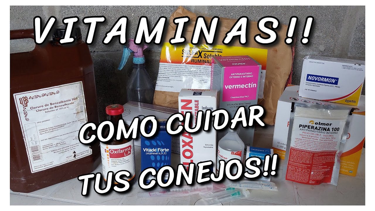 ¡PROGRAMA SANITARIO! ¿QUE MEDICAMENTOS USAMOS? NOMBRES Y FORMAS DE ADMINISTRARLOS EN TUS CONEJOS