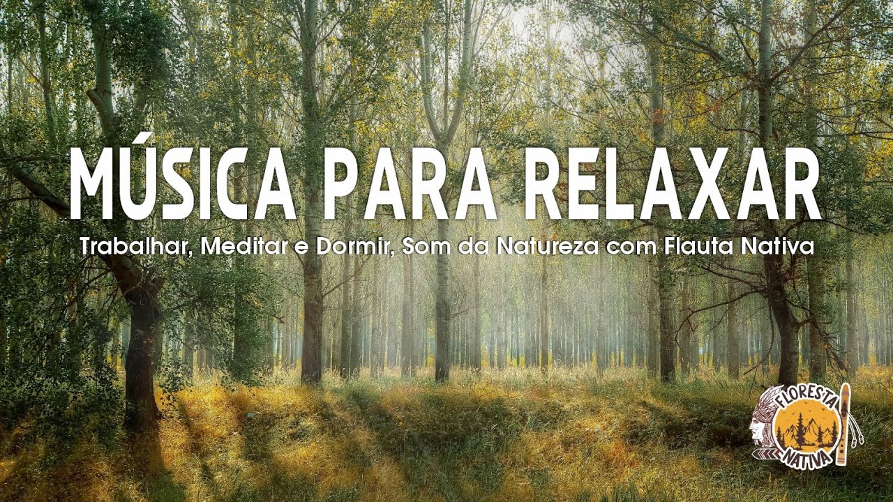 Música para Relaxar, Trabalhar, Meditar e Dormir, Som da Natureza com ...