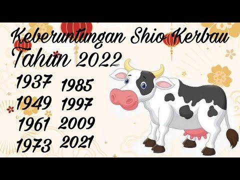 Video: Tahun berapa Sapi pada tahun 2021 dan apa warnanya