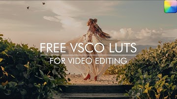 VSCO LUTs
