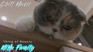 [Chillout with kittens] Thing of beauty ｜Chill Music, Background, Work, Sleep, Meditation by Mihu family Take a break 184 views 4 months ago 11 minutes, 18 seconds