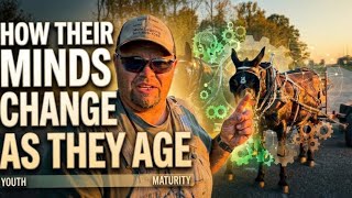 MULE PSYCHOLOGY 101….#333 #mules #horse #drafthorse #horselogging #horsetraining  Guide