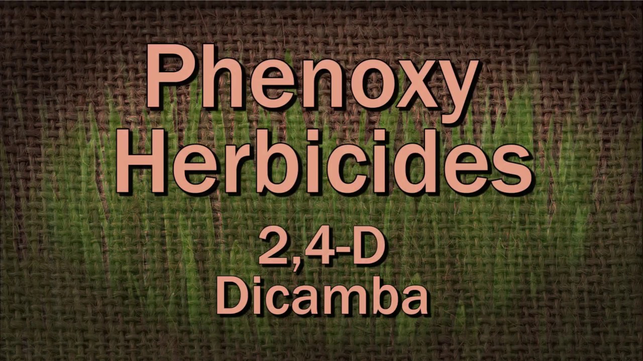 Phenoxy Herbicides Family Plot Youtube