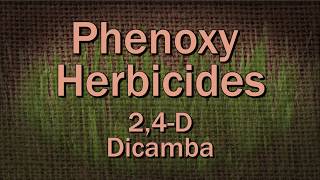 Phenoxy Herbicides – Family Plot