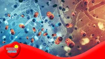 What is Cellular Respiration - More Science on the Learning Videos Channel