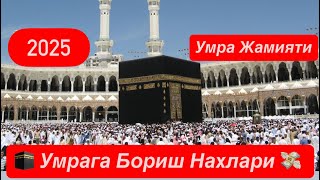 картинка: 🕋 УМРА ЗИЙОРАТИГА БОРИШ НАРХЛАРИ 💸 Октябрь Ноябрь Учун Батафсил Малумот