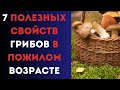 7 ПОЛЕЗНЫХ СВОЙСТ ГРИБОВ В ПОЖИЛОМ ВОЗРАСТЕ