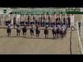 Breeders' Cup Distaff (GI) - Race Replays Thumbnail