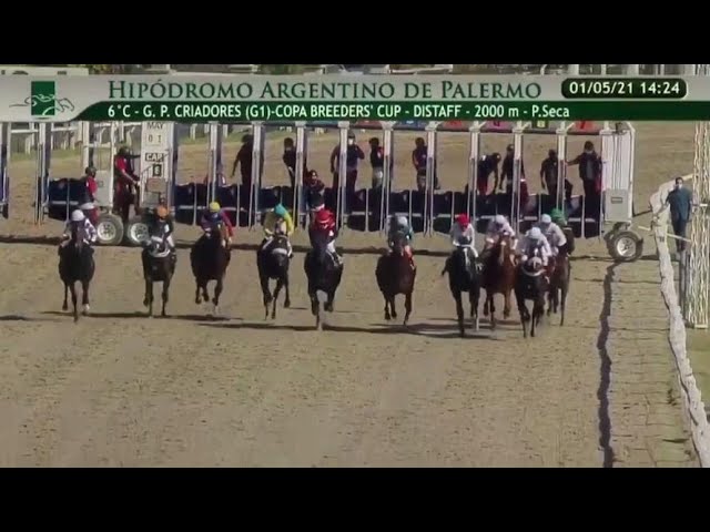 Breeders' Cup Distaff (GI) - Race Replays Thumbnail