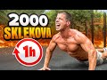 2000 sklekova za SAT VREMENA!
