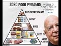 The Fascism Machine - Great Reset Conspiracy In A Reasonable Guise