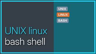 Unix & Linux: Current time/date as a variable in BASH and stopping a program with a script
