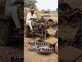 Post Harvest Facts of Peanut 🥜#agriculture #peanut#nature #plantscience #botany #kindal