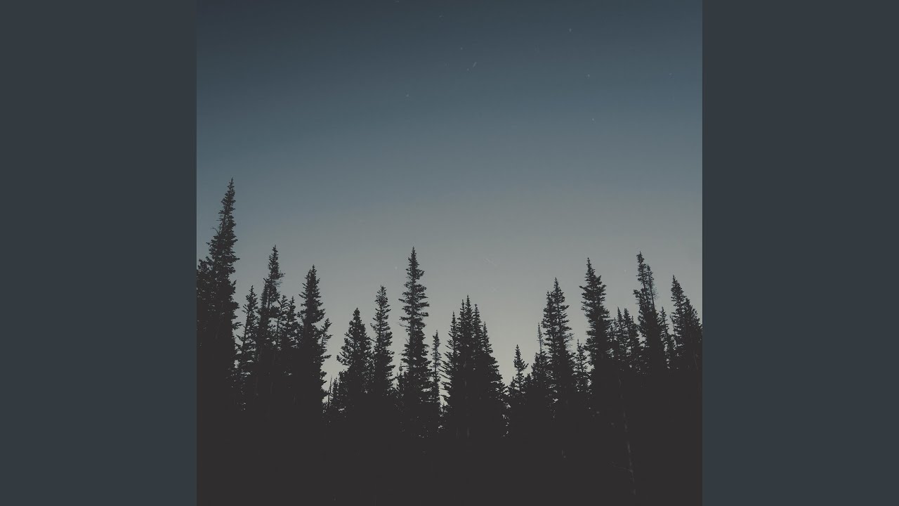 Watch likethetrees on YouTube Watch likethetrees on YouTube