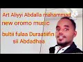 Art Aliyyi Abdalla Mahaammad Bultii Fuladuraatifin Sii Abdadha New Oromo Music 2026 