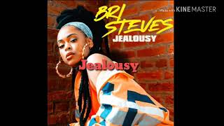 Bri Steve's Jealousy (Clean Lyrics)