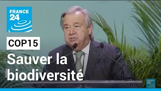 COP15 de la biodiversité : l'humanité, une 