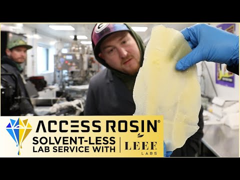 Solvent-less Lab Service with LEEF LABS