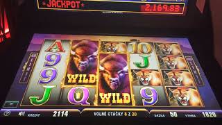 Automat - Wild Valley - Bonusy
