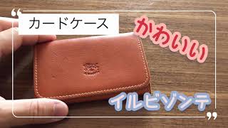 第3回【レビュー】イルビゾンテのカードケース持ち運び最高