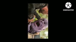 Thanos Most Funny Sene Thanos Baby Cryingand Thor Atude