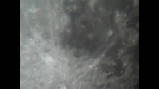 Cosas Curiosas Grabadas En El Cielo Nocturno De Elda El Ave Que Vive Dentro De La Luna.