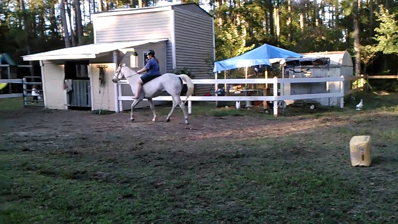 Small Jump Course Mini jumping course 2 - YouTube
